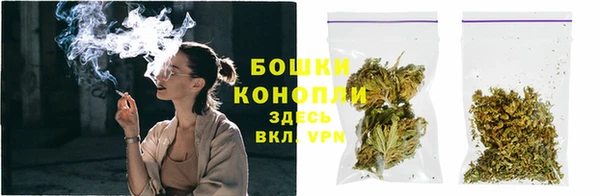 мдпв Волосово