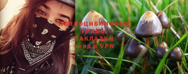 мдпв Волосово