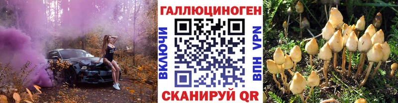Псилоцибиновые грибы мицелий  Южно-Сахалинск 